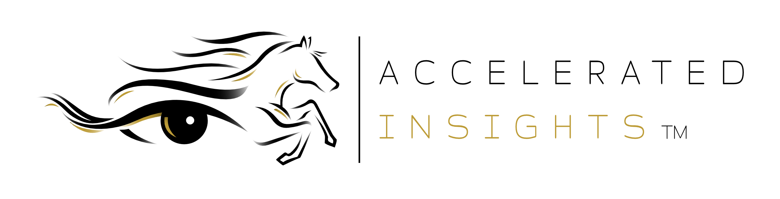 Accelerated Insights